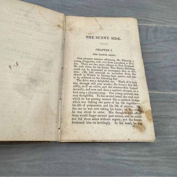 Antique THE SUNNY SIDE; or, the Country Minister's Wife 1851Hardback Book - Picture 15 of 17